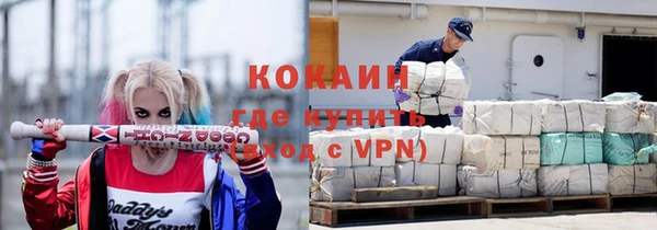 сатива Сосновый Бор