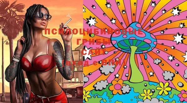 spice Сосновка