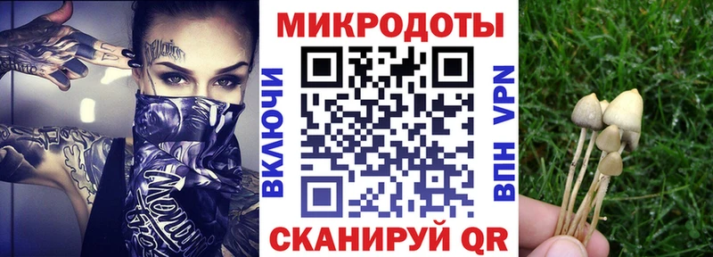 Купить  Юрьевец  Галлюциногенные грибы GOLDEN TEACHER 